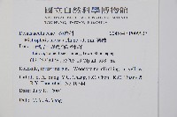 栗蕨藏品圖，第2張