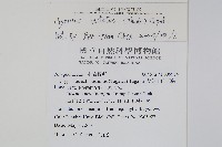 三葉茀蕨藏品圖，第2張