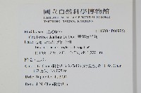 臺灣粉背蕨藏品圖，第2張