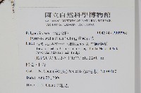 中國石葦藏品圖，第2張