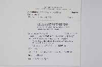 小葉鐵角蕨藏品圖，第2張