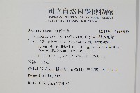 擬芨瓦葦藏品圖，第2張