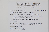 南海鱗毛蕨藏品圖，第2張