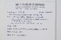 海州骨碎補藏品圖，第2張