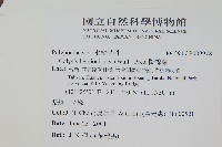 斷線蕨藏品圖，第1張