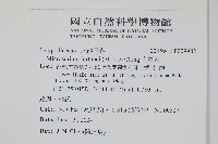 大星蕨藏品圖，第2張