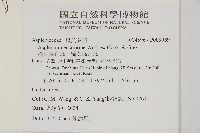 劍葉鐵角蕨、箭葉鐵角蕨藏品圖，第2張