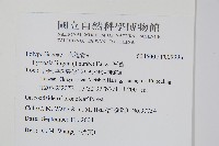 石葦藏品圖，第2張