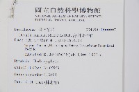 海州骨碎補藏品圖，第5張