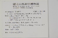 南洋山蘇花藏品圖，第2張