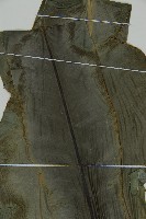 南洋山蘇花藏品圖，第3張