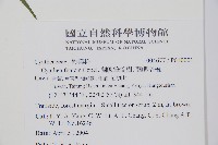 蘭嶼筆筒樹、蘭嶼桫欏藏品圖，第2張