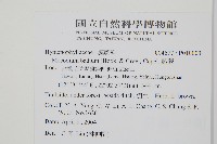 圓唇假脈蕨藏品圖，第2張