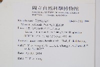 觀音座蓮舅藏品圖，第2張