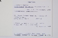 登錄號:P010016藏品圖，第2張