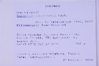 登錄號:P010017藏品圖，第2張