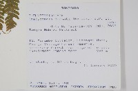 登錄號:P010018藏品圖，第2張