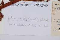 登錄號:P010021藏品圖，第6張