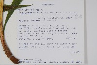 登錄號:P010027藏品圖，第2張