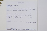 登錄號:P010028藏品圖，第2張