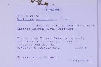 登錄號:P010030藏品圖，第2張