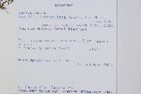 登錄號:P010032藏品圖，第2張