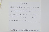 登錄號:P010034藏品圖，第2張