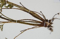 登錄號:P010035藏品圖，第3張