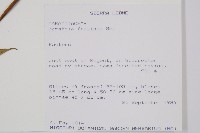 登錄號:P010039藏品圖，第2張