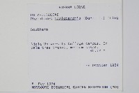 海岸擬茀蕨藏品圖，第2張