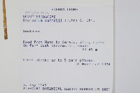 登錄號:P010044藏品圖，第2張