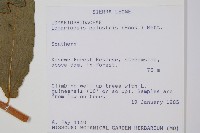 登錄號:P010050藏品圖，第2張