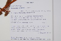 登錄號:P010057藏品圖，第2張