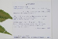 登錄號:P010058藏品圖，第2張