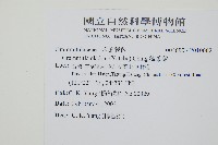 梳葉蕨藏品圖，第2張