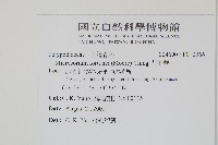 大星蕨藏品圖，第2張