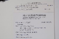 麟瓦葦、川上氏瓦葦藏品圖，第2張