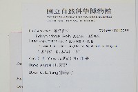 陵齒蕨、鱗始蕨藏品圖，第2張