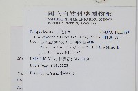 柳葉劍蕨藏品圖，第2張