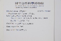 玉山耳蕨藏品圖，第2張