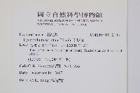 千層塔藏品圖，第2張