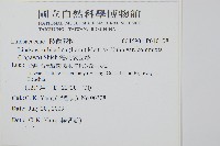 海島陵齒蕨藏品圖，第2張