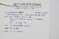 菲律賓厚葉蕨藏品圖，第2張