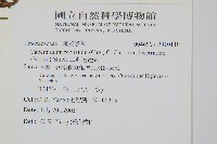 二羽達邊蕨藏品圖，第2張