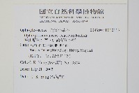 高山瓶爾小草、鈍頭瓶爾小草藏品圖，第2張