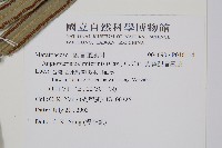 蘭嶼觀音座蓮藏品圖，第2張