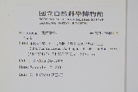 登錄號:P010116藏品圖，第2張