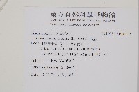 烏蕨藏品圖，第2張