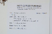 登錄號:P010119藏品圖，第2張