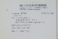 登錄號:P010120藏品圖，第2張